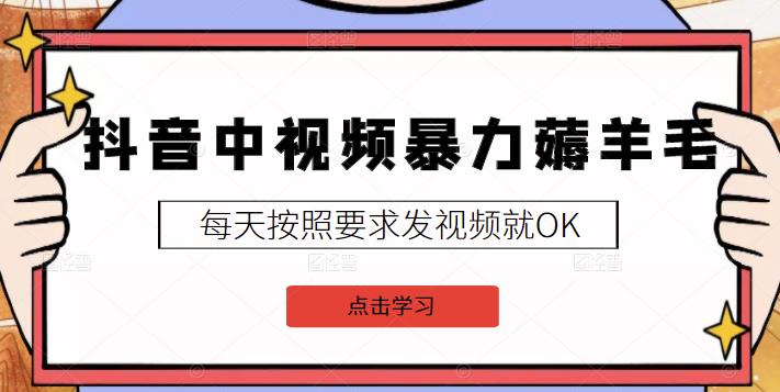 2022抖音中视频暴力薅羊毛白嫖项目：新号每天20块，老号几天几百块，可多号￼-kk网创