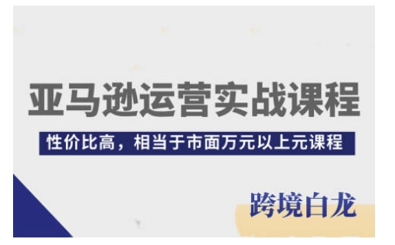 亚马逊运营实战课程，亚马逊从入门到精通，性价比高，相当于市面万元以上元课程-kk网创