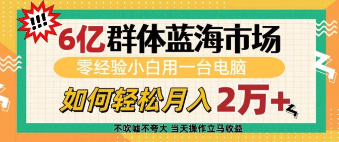 6亿群体蓝海市场，零经验小白用一台电脑，如何轻松月入过w【揭秘】-kk网创