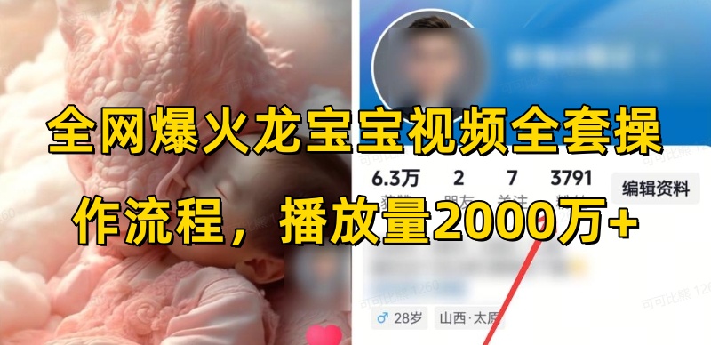全网爆火龙宝宝视频全套操作流程，播放量2000万+-kk网创