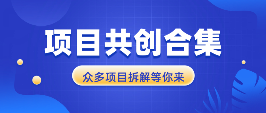 项目共创合集，从0-1全过程拆解，让你迅速找到适合自已的项目-kk网创