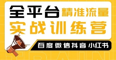 全平台精准流量实战训练营，百度微信抖音小红书SEO引流教程-kk网创