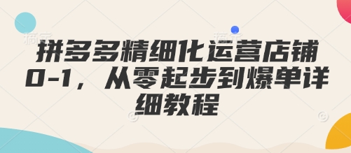 拼多多精细化运营店铺0-1，从零起步到爆单详细教程-kk网创