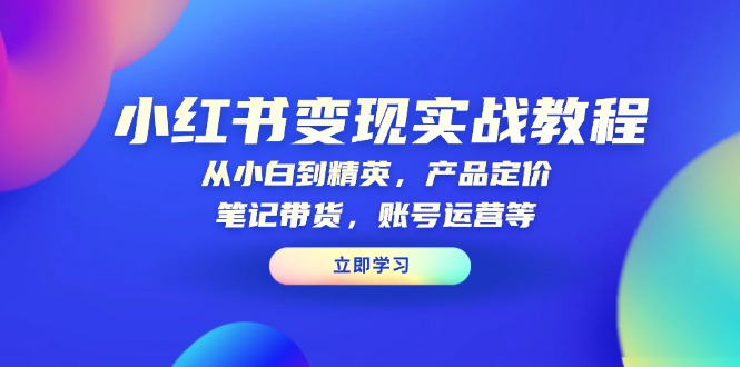 小红书变现实战教程：从小白到精英，产品定价，笔记带货，账号运营等-kk网创