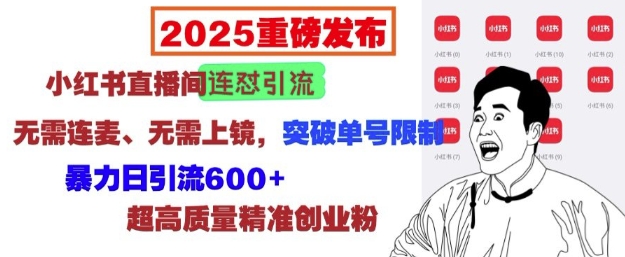 2025重磅发布：小红书直播间连怼引流，无需连麦、无需上镜，突破单号限制，暴力日引流600+-kk网创