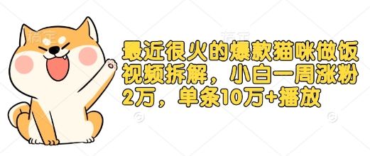 最近很火的爆款猫咪做饭视频拆解，小白一周涨粉2万，单条10万+播放(附保姆级教程)-kk网创