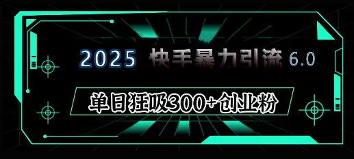 2025年快手6.0保姆级教程震撼来袭，单日狂吸300+精准创业粉-kk网创