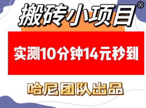 搬砖小项目，实测10分钟14元秒到，每天稳定几张(赠送必看稳定)-kk网创