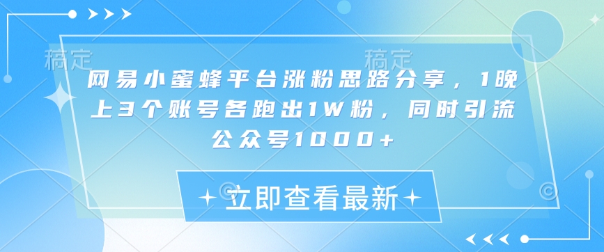 网易小蜜蜂平台涨粉思路分享，1晚上3个账号各跑出1W粉，同时引流公众号1000+-kk网创