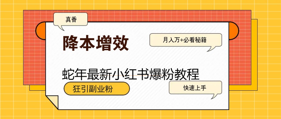 图片[1]-蛇年最新小红书爆粉教程，狂引副业粉，月入万+必看-kk网创