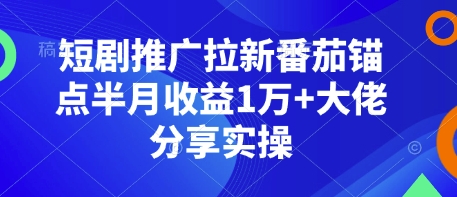 短剧推广拉新番茄锚点半月收益1万+大佬分享实操-kk网创