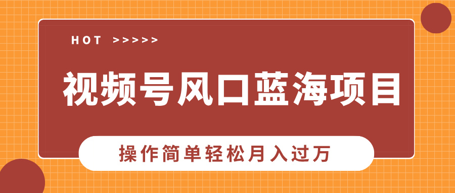 视频号风口蓝海项目，中老年人的流量密码，操作简单轻松月入过万-kk网创