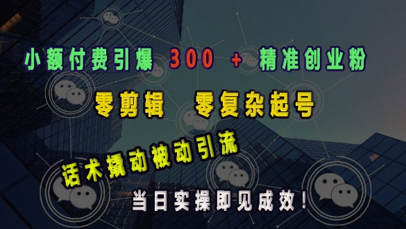 小额付费引爆 300 + 精准创业粉，零剪辑、零复杂起号，话术撬动被动引流，当日实操即见成效-kk网创