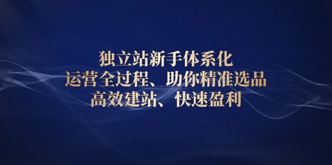 独立站新手体系化 运营全过程，助你精准选品、高效建站、快速盈利-kk网创