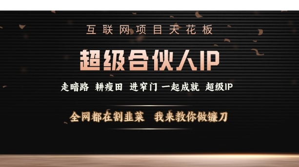 互联网项目天花板，超级合伙人IP，全网都在割韭菜，我来教你做镰刀【仅揭秘】-kk网创
