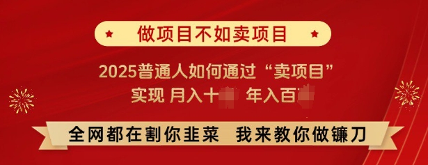 必看，做项目不如卖项目，2025普通人如何通过“卖项目”实现月入十个，年入百个-kk网创
