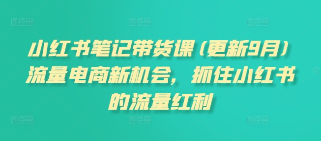 小红书笔记带货课(更新25年2月)流量电商新机会，抓住小红书的流量红利-kk网创