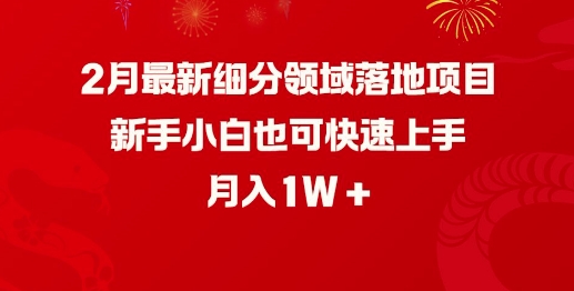 2月最新细分领域落地项目，新手小白也可快速上手，月入1W-kk网创