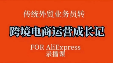跨境电商速卖通运营课，​运营方法论+后台实操，逻辑清晰-kk网创