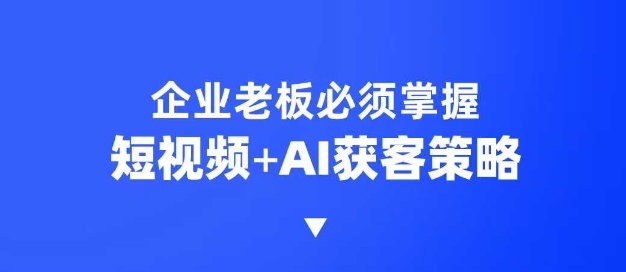 企业短视频AI获客霸屏流量课，6步短视频+AI突围法，3大霸屏抢客策略-kk网创