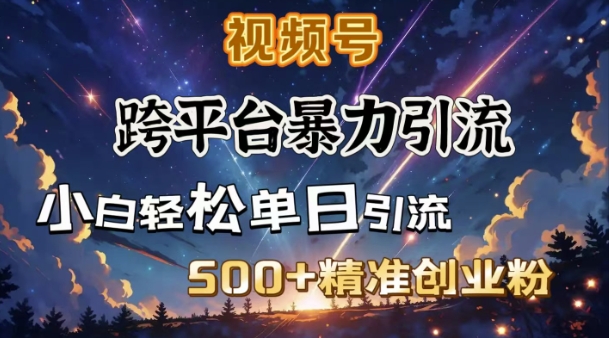跨平台暴力引流，私域完美闭环，日引500+精准创业粉-kk网创
