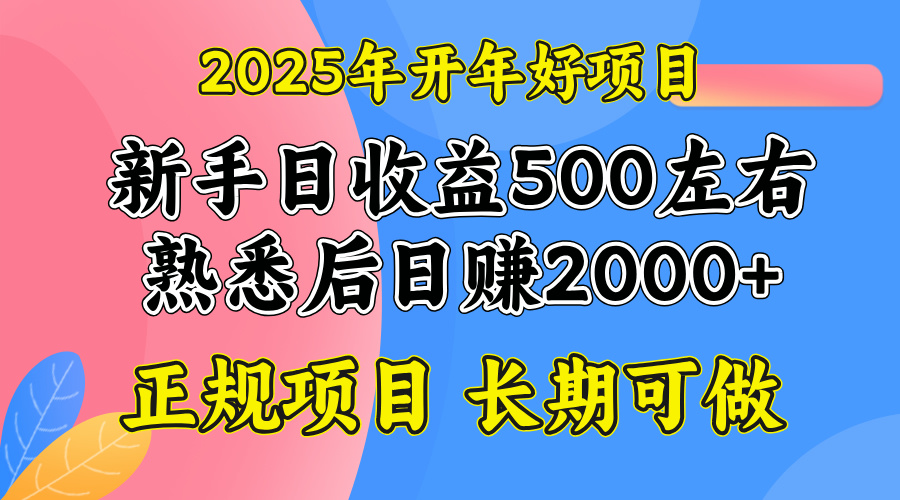 2025开年好项目，单号日收益2000左右-kk网创