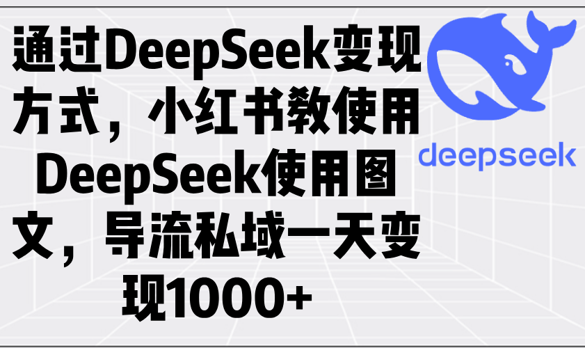 通过DeepSeek变现方式，小红书教使用DeepSeek图文，导流私域一天变现1000+-kk网创
