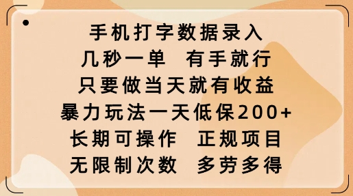 手机打字数据录入，几秒一单，有手就行，只要做当天就有收益，暴力玩法一天低保2张-kk网创
