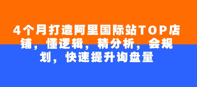 4个月打造阿里国际站TOP店铺，懂逻辑，精分析，会规划，快速提升询盘量-kk网创