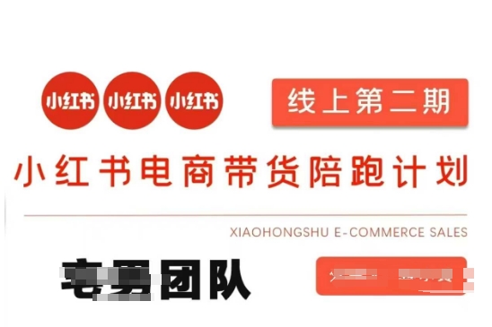 小红书电商带货课2期，月利润20个的小红书电商的有货源，无货源，虚拟产品，付费投流等整套玩法-kk网创