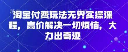 淘宝付费玩法无界实操课程，高价解决一切烦恼，大力出奇迹-kk网创
