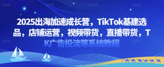 2025出海加速成长营，TikTok基建选品，店铺运营，视频带货，直播带货，TK广告投流等系统教程-kk网创