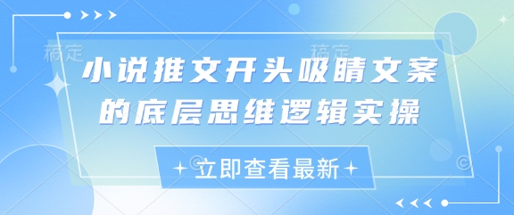 小说推文开头吸睛文案的底层思维逻辑实操-kk网创