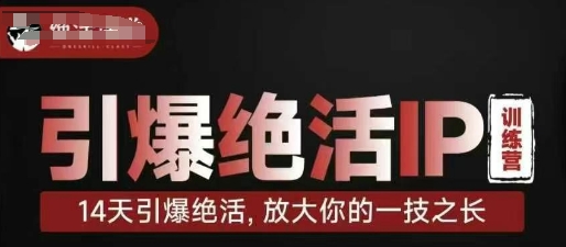 引爆绝活IP训练营，14天引爆绝活，放大你的一技之长-kk网创