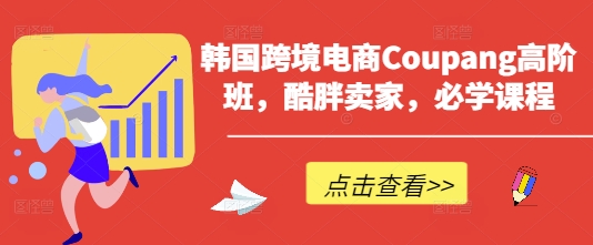 韩国跨境电商Coupang高阶班，酷胖卖家，必学课程-kk网创