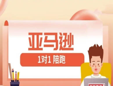 亚马逊1对1陪跑课(FBA/FBM精铺)跨境亚马逊教程-kk网创