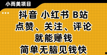 小而美的项目，抖音小红书B站视频点赞、关注、评论就能挣钱，简单无脑立见收益，妥妥的零撸项目【揭秘】-kk网创