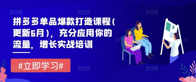 拼多多单品爆款打造课程(更新6月)，充分应用你的流量，增长实战培训-kk网创