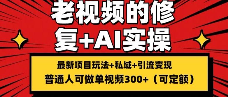 修复老视频的玩法，搬砖+引流的变现(可持久)，单条收益300+【揭秘】-kk网创