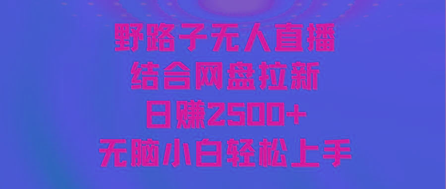 无人直播野路子结合网盘拉新，日赚2500+多平台变现，小白无脑轻松上手操作-kk网创