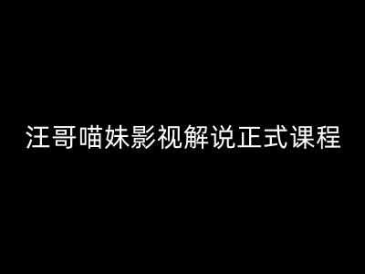 汪哥影视解说正式课程：剪映/PR教学/视解说剪辑5大黄金法则/全流程剪辑7把利器等等-kk网创