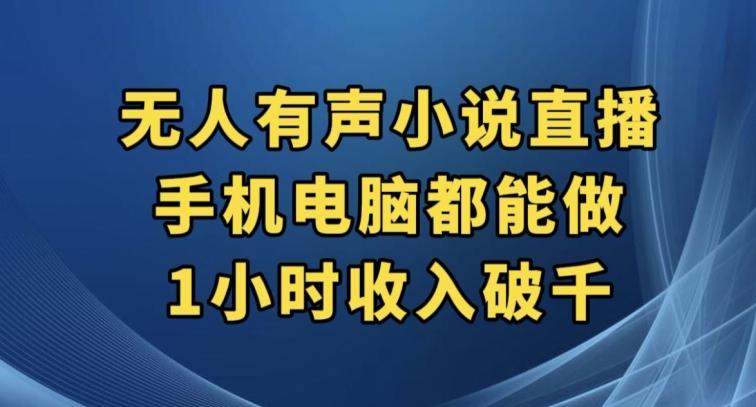 抖音无人有声小说直播，手机电脑都能做，1小时收入破千【揭秘】-kk网创