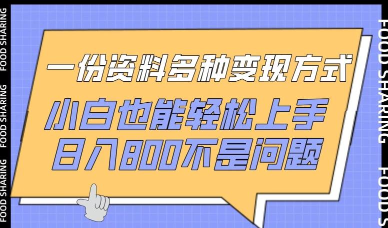 一份资料多种变现方式，小白也能轻松上手，日入800不是问题【揭秘】-kk网创