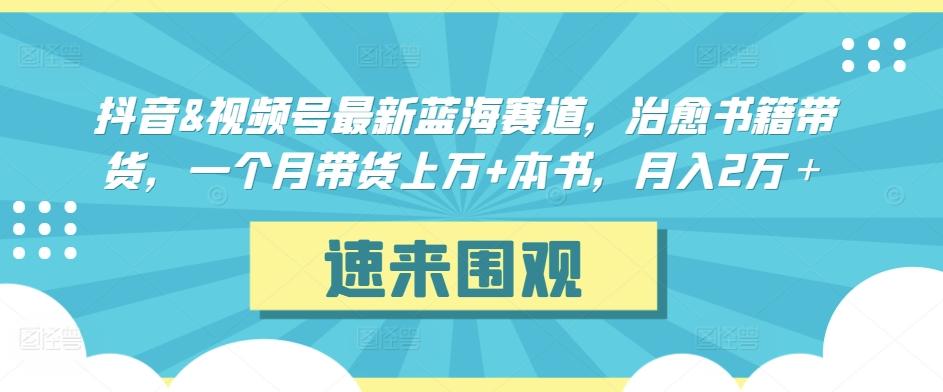 抖音&视频号最新蓝海赛道，治愈书籍带货，一个月带货上万+本书，月入2万＋【揭秘】-kk网创