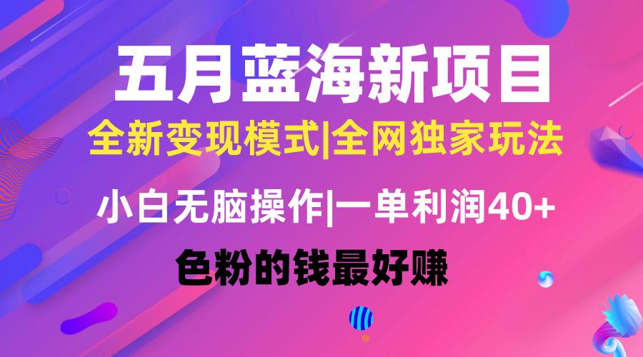 五月蓝海项目全新玩法，小白无脑操作，一天几分钟，矩阵操作，月入4万+-kk网创