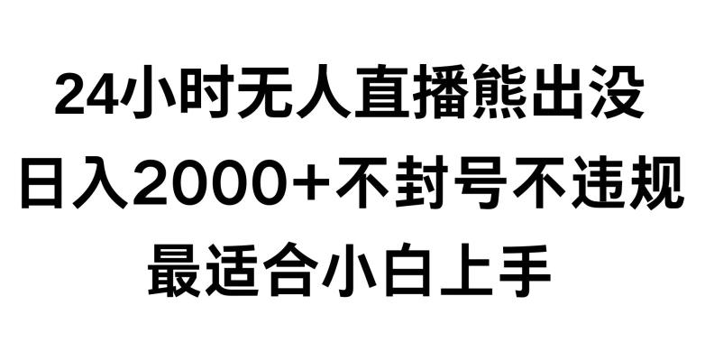 快手24小时无人直播熊出没，不封直播间，不违规，日入2000+，最适合小白上手，保姆式教学【揭秘】-kk网创