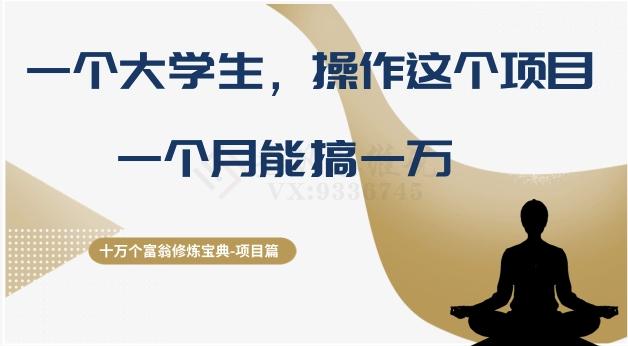 十万个富翁修炼宝典之4.一个大学生操作这个项目，一个月能搞一万-kk网创