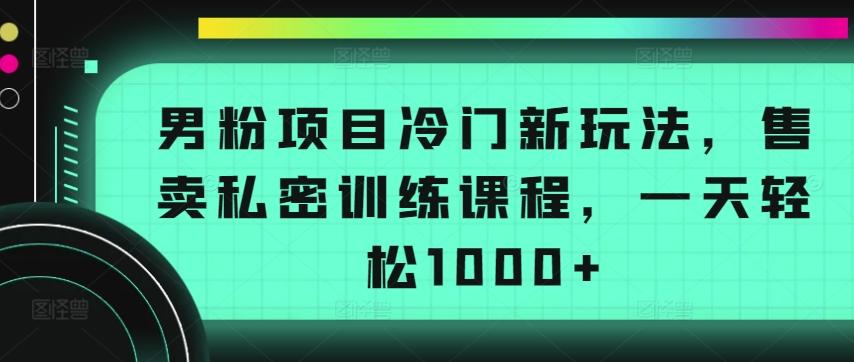 男粉项目冷门新玩法，售卖私密训练课程，一天轻松1000+【揭秘】-kk网创