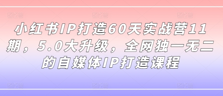 小红书IP打造60天实战营11期，5.0大升级，全网独一无二的自媒体IP打造课程-kk网创
