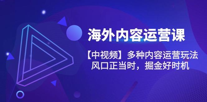 海外内容 运营课【中视频】多种内容运营玩法 风口正当时 掘金好时机-101节-kk网创